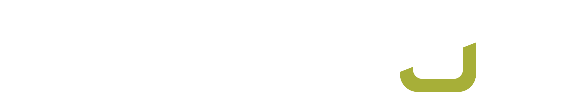 logo_vesecon_white